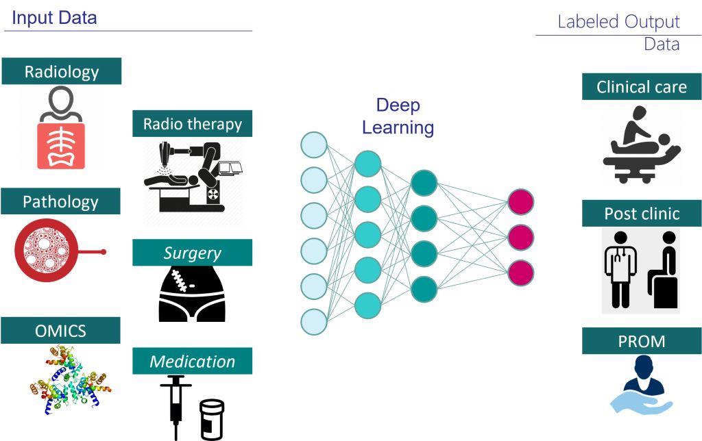 AI for Quality Assurance intends to show We implement processes in clinical and clinical trial environments that are ready to generate and use AI learning. the probabilities of therapeutic success and undesirable side effects for given analyses and possible forms of therapy. These will be taken into account when deciding on the therapy.