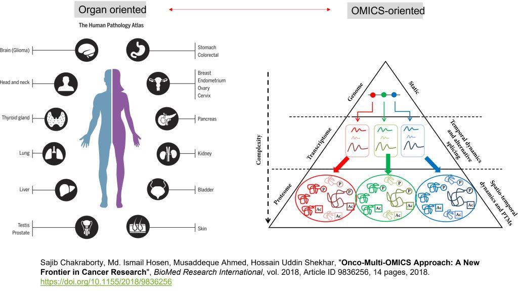 Interpretive approaches are changing. Long-term data strategies are required. Nevertheless, thoughtful scoping is required because of the wide variety.